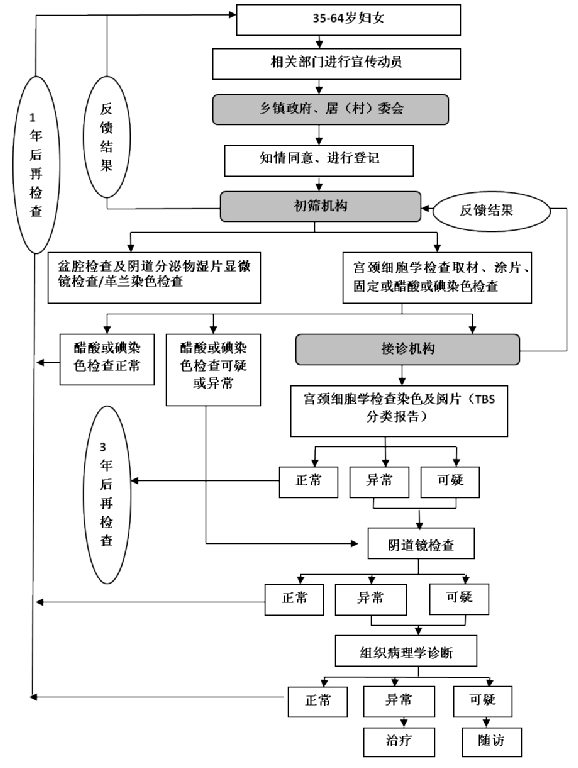 延续宫颈癌检查项目检查流程图